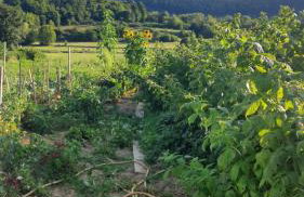 Apartmani Fenestra -Zagorka - Foto 33