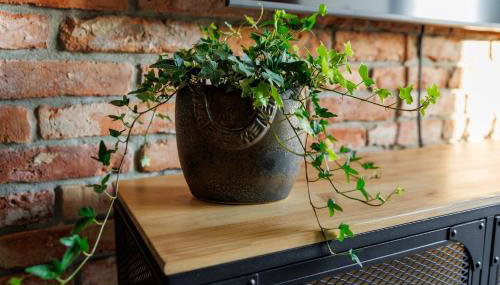 Loft Apartments 2 Uniejów - Foto 3