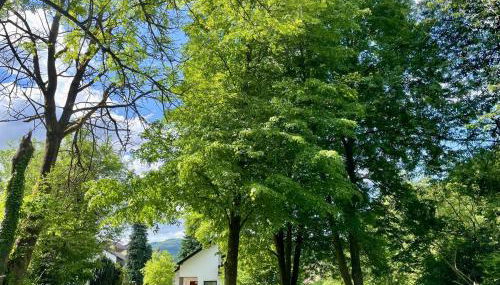 Odw homes - Large country house with three apartments and garden - Foto 3