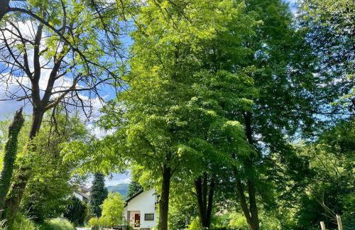 Odw homes - Large country house with three apartments and garden - Photo 3