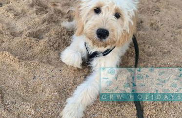 Rock Cottage - Foto 19