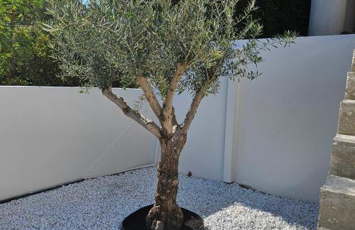 Villa Marenda - Foto 33