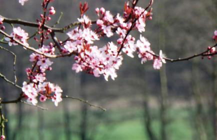 Ferienhof Meyer - Foto 74