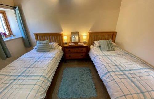 The Teddy House - Foto 14