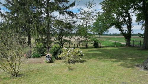 Ferienhaus bei der Müritz-Elde Wasserstraße - Photo 2