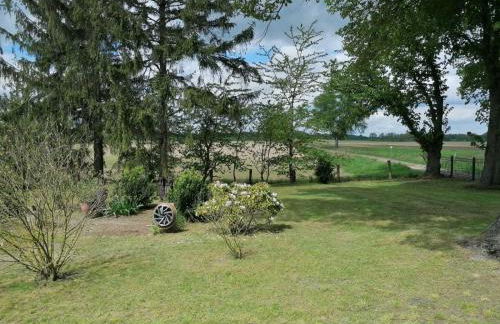 Ferienhaus bei der Müritz-Elde Wasserstraße - Photo 2