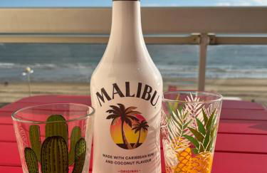 Malibu Beach LA BAULE appartement face à la mer ! - Foto 3