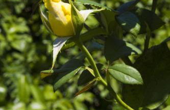 AGRITURISMO Case Catalano - Foto 30