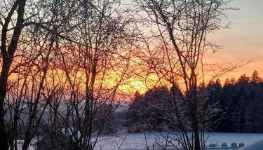 Bayerwaldtiny - Foto 2