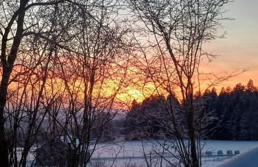 Bayerwaldtiny - Foto 2