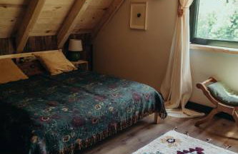 Mech i brzoza - Foto 38