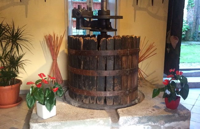 B&B L'Antico Torchio - Foto 4