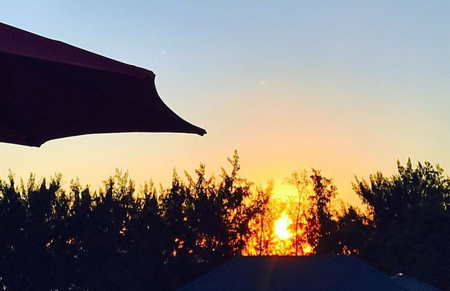 Sugareef West Coast - Photo 60