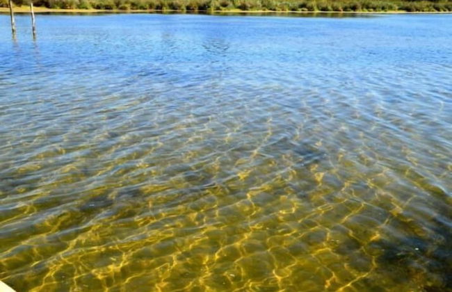 Casale Villa Giulia - Foto 24