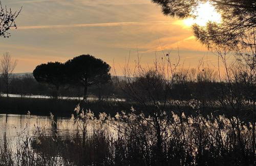 Gîte d'ysée au milieu des vignes - Foto 29