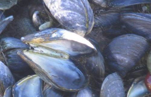 Beautiful spacious old schoolhouse with stunning sea views and beach nearby - Foto 29