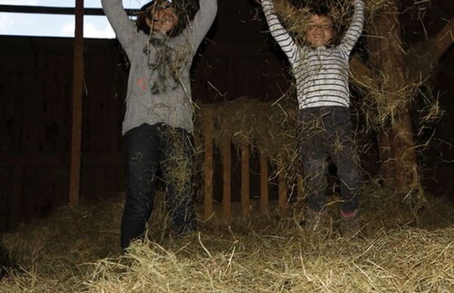 Ferienhof Stärk - Foto 17