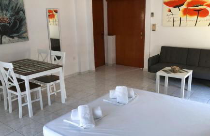 ARTEMIS and FILLO - Photo 15