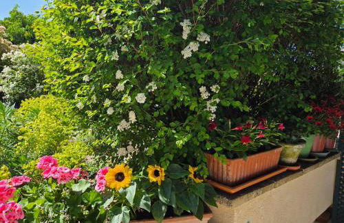 Clair logis - Foto 50