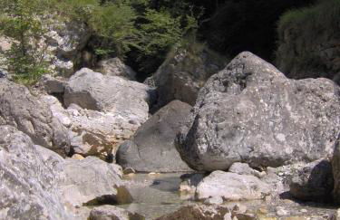 Apartment Ninetta Belluno Dolomiti - Foto 38