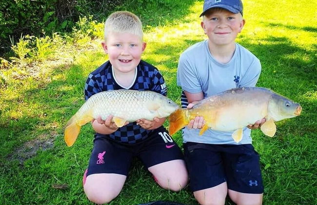 Beech Pod Cabin in Beautiful Surroundings Wrexham - Photo 6