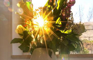 Ruhig Top mod Studio Appartement,privater Eingang - Foto 35