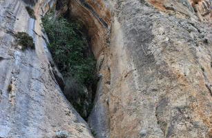 Cabaña La Pura Vida Yunquera - Foto 31