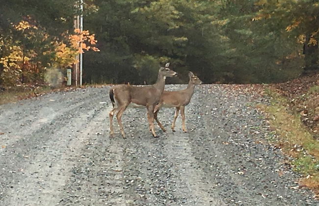 Mountain Haven - Foto 17