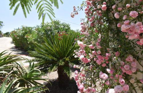 Casa Margaritha - montañas y tranquilidad - Foto 48