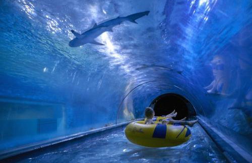 Apartament Modesta Przy Aquaparku Reda - Foto 42