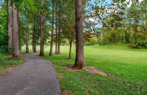 Blue Ridge View Pet Friendly, Deck, Grill - Foto 32