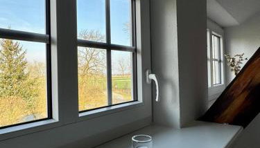 Robbe beim Ochsenturm am Deich - Foto 4