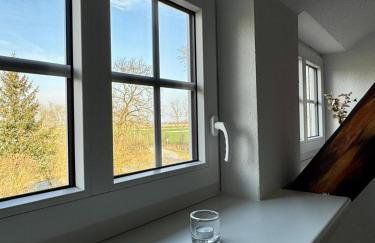 Robbe beim Ochsenturm am Deich - Foto 4