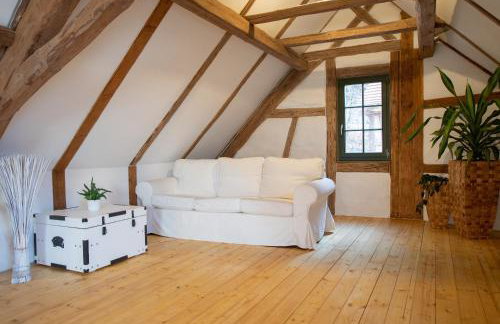 Naturhof-Papiermühle 3 Bett-Zimmer Immergrün - Foto 14