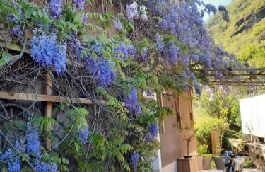 En bord de rivière - Foto 20