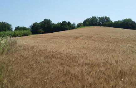 C'era Una Volta - Foto 46