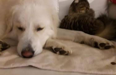 Tenuta Crescentini-ValleMura ,appartamenti con entrata indipendente - Foto 20