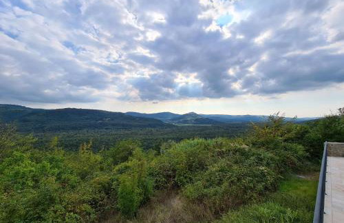 Villa Motovun 2129 - Foto 61