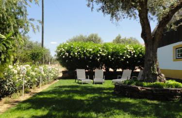 Monte dos Aroeirais - Foto 37