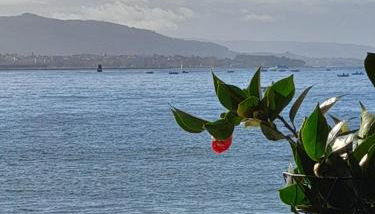 Mirador da Playa - Foto 5