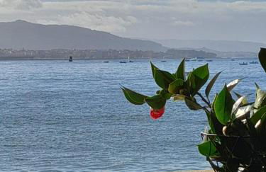 Mirador da Playa - Foto 5