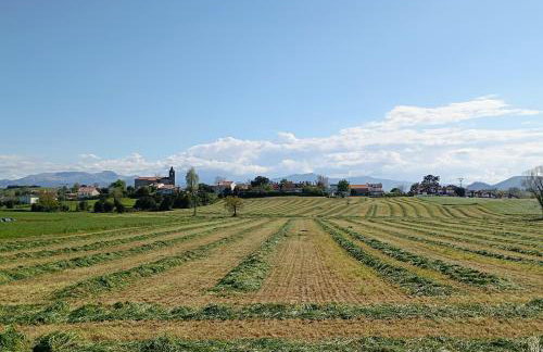 El Pinar de Arna - Photo 60