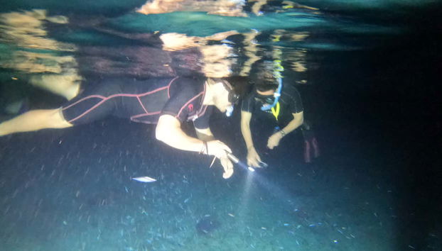 Snorkel noturno em Cozumel - Foto 3, Nade sob as estrelas!