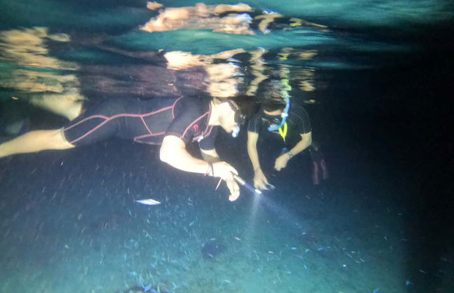 Night Snorkeling in Cozumel - Photo 8