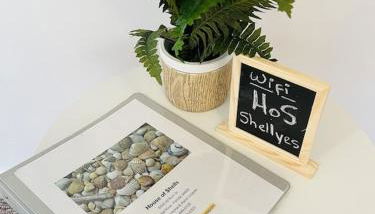 House of Shells, beautiful garden, fenced yard, dog friendly, fire pit! - Foto 5