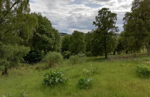 Highland Lodge - Foto 7