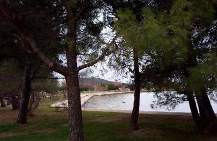 Grand Vista - Photo 26