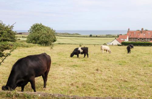 Links View - Foto 19