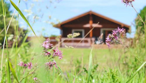 Strathisla - Luxury Two Bedroom Log Cabin with Private Hot Tub & Sauna - Foto 2, Garden