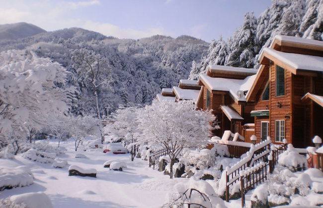 S & J Pension - Foto 63